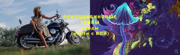 мяу мяу кристалл Аша