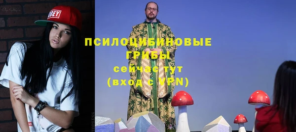 тгк Костерёво