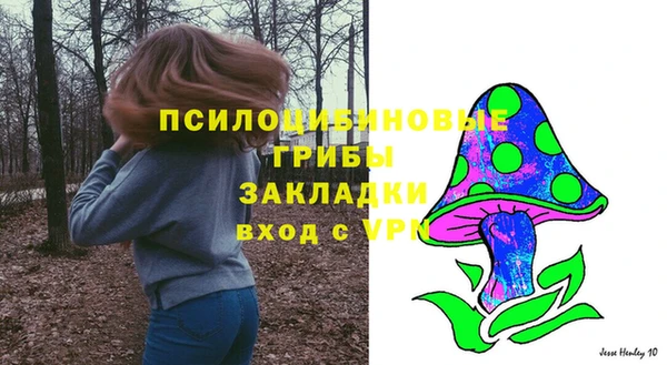 a pvp Коряжма