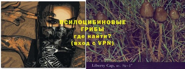тгк Костерёво