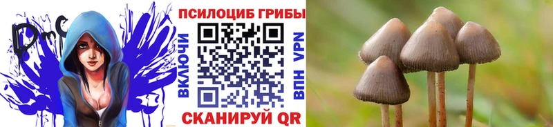 Галлюциногенные грибы ЛСД  кракен ССЫЛКА  площадка как зайти  Мамадыш 